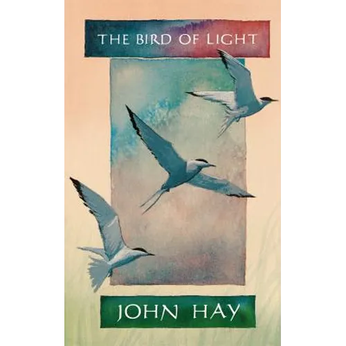 The Bird of Light - Paperback