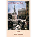 In the Eyes of a Dog - Paperback