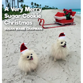 A Very Merry Sugar Cookie Christmas - Hardcover