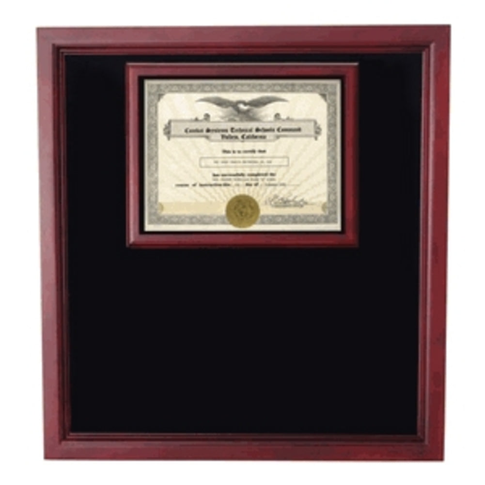 Extra Large Award Display Case.