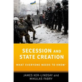 Secession and State Creation: What Everyone Needs to Know(r) - Paperback