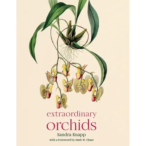 Extraordinary Orchids - Hardcover