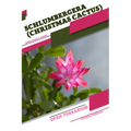 Schlumbergera (Christmas Cactus): Open terrarium, Beginner's Guide - Paperback