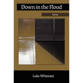 Down in the Flood - Paperback