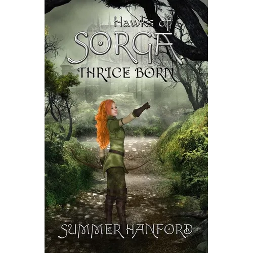Hawks of Sorga - Paperback
