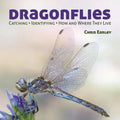 Dragonflies: Catching - Identifying - How and Where They Live - Paperback