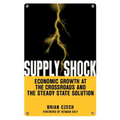 Supply Shock: Economic Growth at the Crossroads and the Steady State Solution - Paperback
