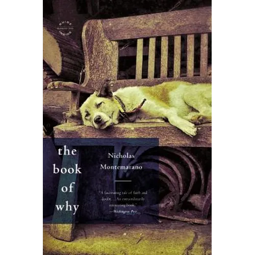 The Book of Why - Paperback