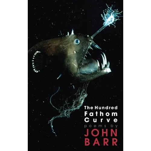 The Hundred Fathom Curve - Paperback