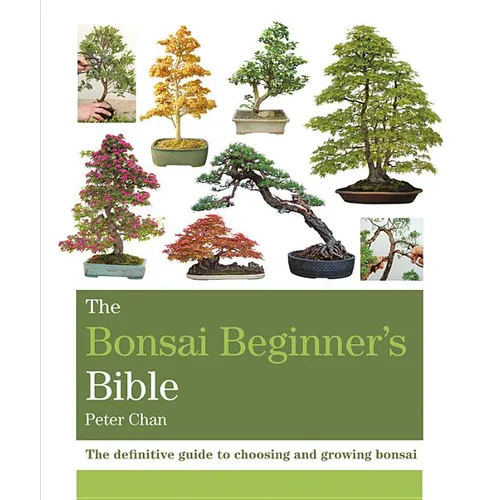 The Bonsai Beginner's Bible - Paperback