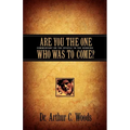 Are You the One Who Was To Come? - Paperback