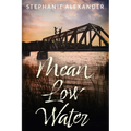 Mean Low Water - Paperback