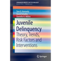 Juvenile Delinquency: Theory, Trends, Risk Factors and Interventions - Paperback