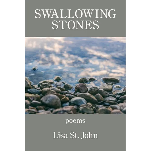 Swallowing Stones - Paperback