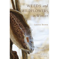 Weeds and Wildflowers in Winter - Paperback