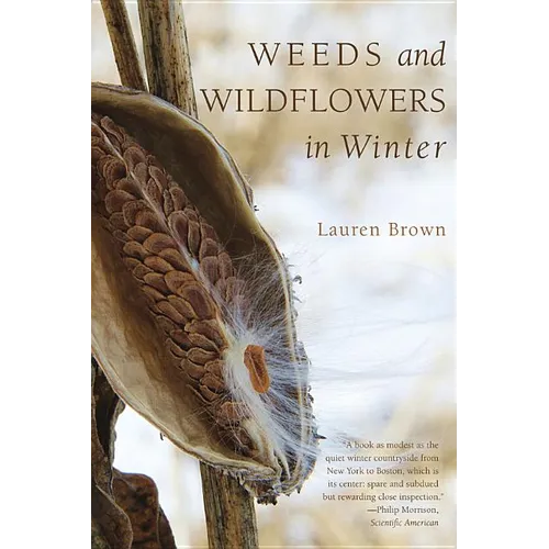 Weeds and Wildflowers in Winter - Paperback