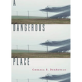 A Dangerous Place - Paperback