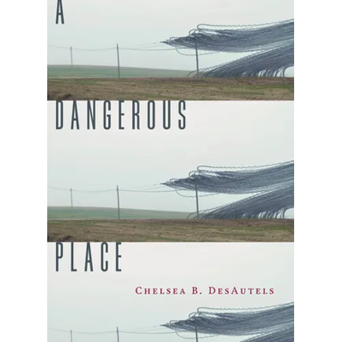 A Dangerous Place - Paperback