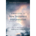 A Brief Guide to New Testament Interpretation - Paperback