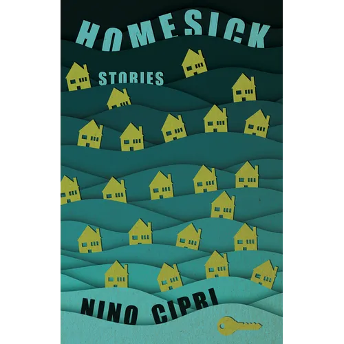 Homesick: Stories - Paperback