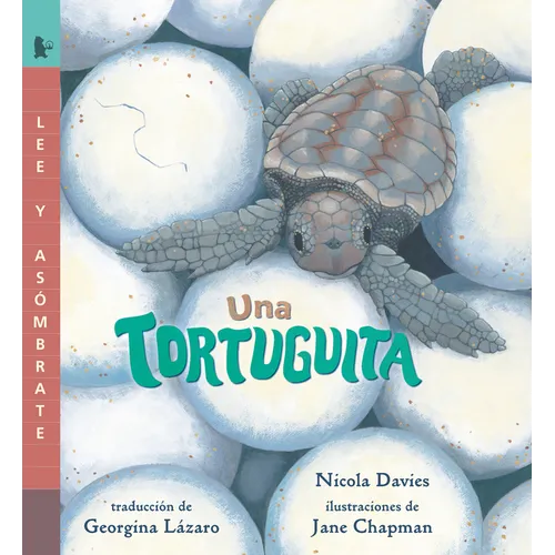 Una Tortuguita: Lee Y Asómbrate - Paperback