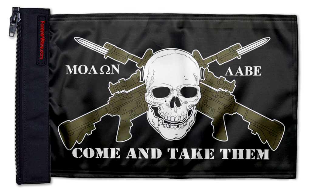 Molan Labe 12"x18" Forever Wave Flag