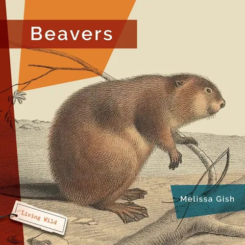 Beavers - Paperback