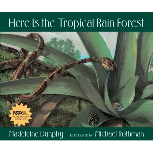 Here Is the Tropical Rain Forest - Paperback