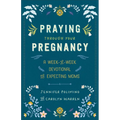 Praying Through Your Pregnancy: A Week-By-Week Devotional for Expecting Moms - Paperback