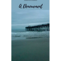 A Denouement - Paperback