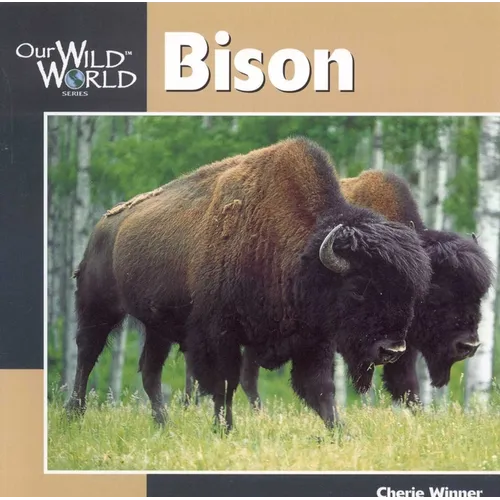 Bison - Paperback
