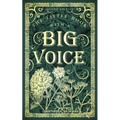 The Little Book With A Big Voice - Paperback