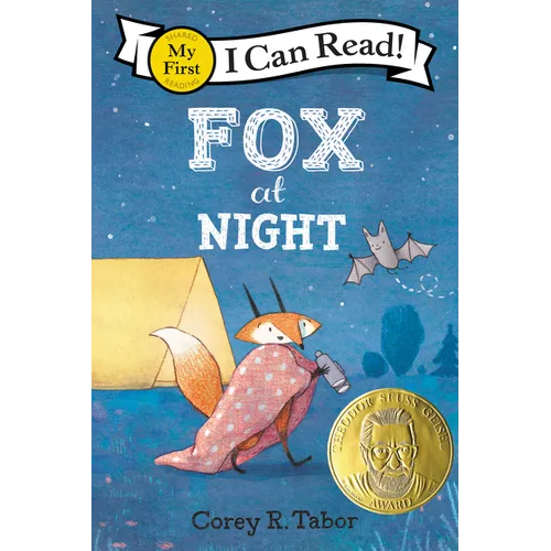 Fox at Night - Paperback