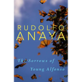 The Sorrows of Young Alfonso: Volume 15 - Paperback