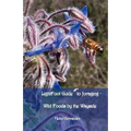 Lightfoot Guide to Foraging - Wild Foods by the Wayside - Paperback