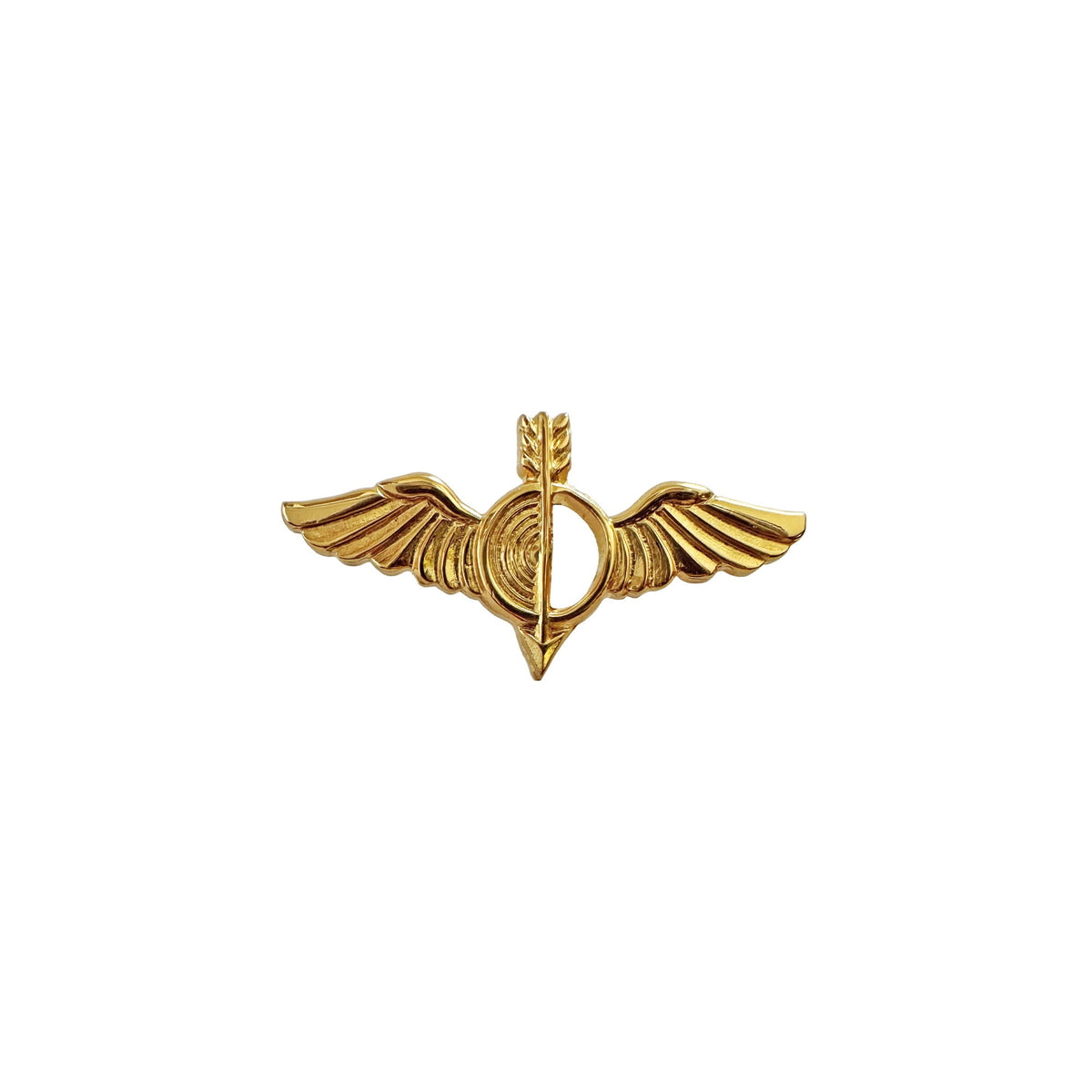 U.S. Navy Aerographer Collar Device STA-BRITE® Pin-on