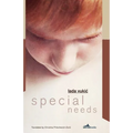 Special Needs - Paperback