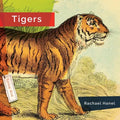 Tigers - Paperback