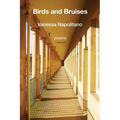 Birds and Bruises - Paperback