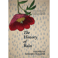 The History of Rain - Paperback