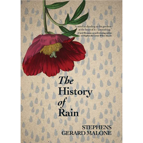 The History of Rain - Paperback