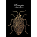Metamorphosis - Paperback