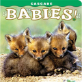 Cascade: Babies! - Board Book