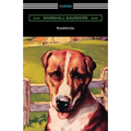 Beautiful Joe - Paperback