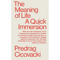 The Meaning of Life: A Quick Immersion - Paperback