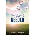 Just What I Needed - Paperback