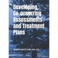 Developing Co-occurring Assessments and Treatment Plans - Paperback