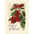 Vintage Lined Notebook Greetings from San Rafael, California - Paperback