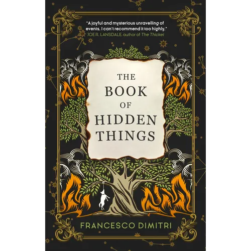 The Book of Hidden Things - Paperback