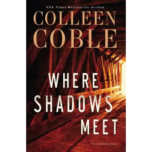 Where Shadows Meet: A Romantic Suspense Novel - Paperback